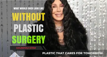 Cher's Natural Beauty: Imagining Her Look Without Plastic Surgery