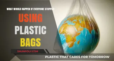 A World Without Plastic Bags: Environmental Impact and Sustainable Alternatives
