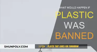 A World Without Plastic: Exploring the Impact of a Ban