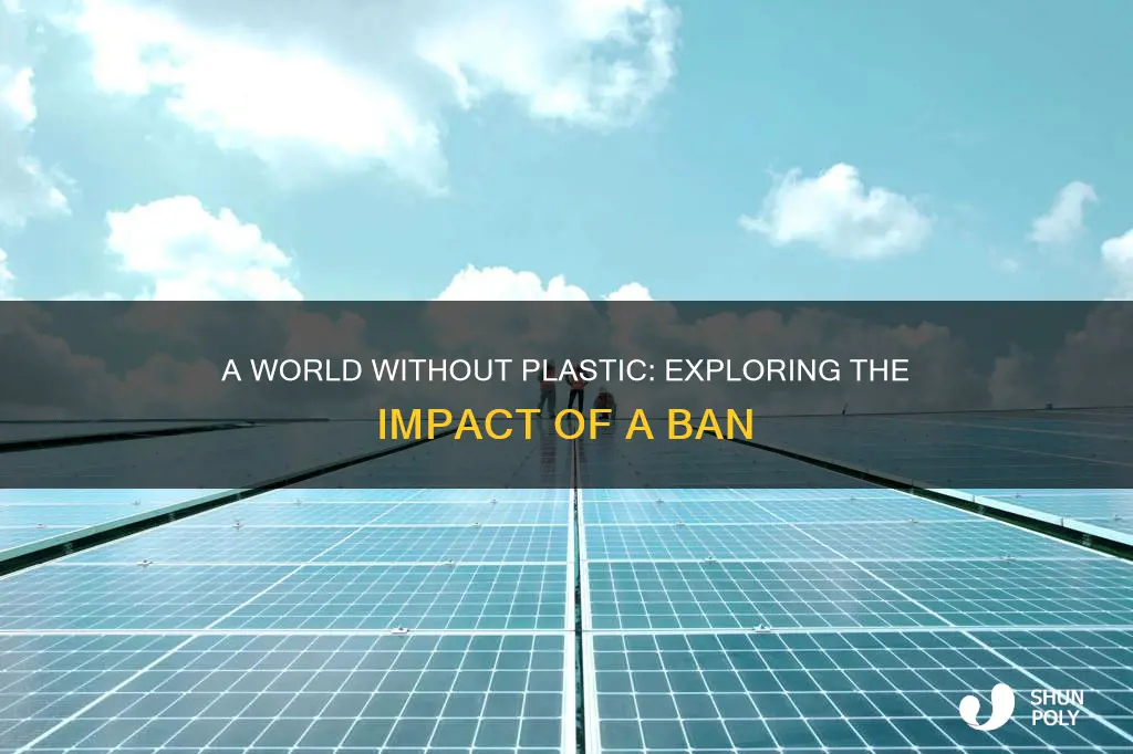 what would happen if plastic was banned