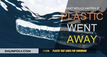 The World Without Plastic: A Sustainable Future