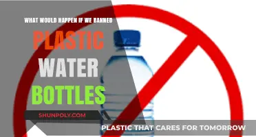 Banning Plastic Water Bottles: Environmental Impact and Sustainable Alternatives