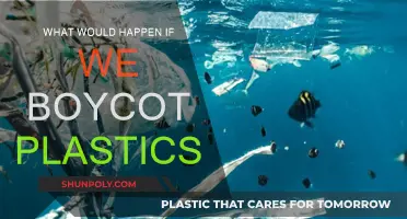 A World Without Plastics: Positive Impact and Challenges