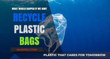 The Devastating Consequences of Ignoring Plastic Bag Recycling