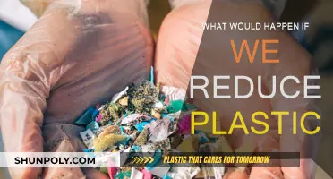 A World Without Plastic: Positive Impacts on Nature and Us