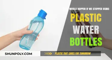 Ending Plastic Bottle Use: Environmental Impact and Sustainable Alternatives