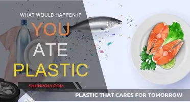 The Dangers of Ingesting Plastic: A Health Hazard