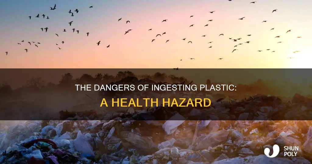 what would happen if you ate plastic