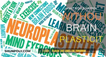 Brain Plasticity: Essential for Our Survival and Evolution