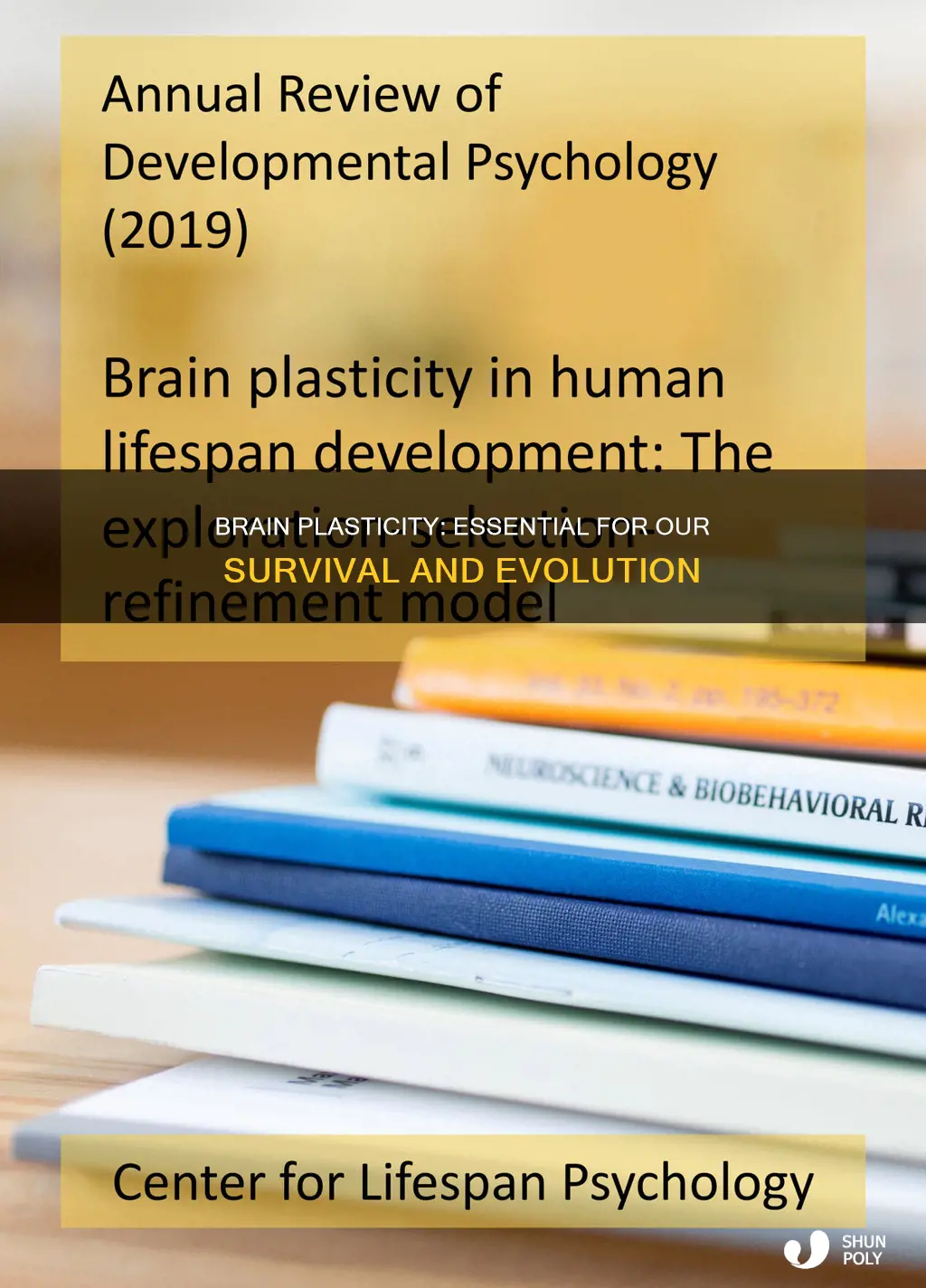 what would happen without brain plasticity