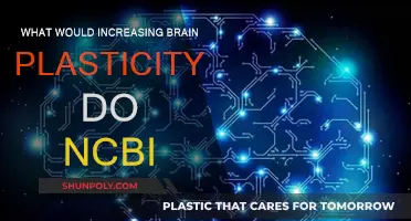 Unlocking Brain Plasticity: The Key to Enhanced Neuroplasticity