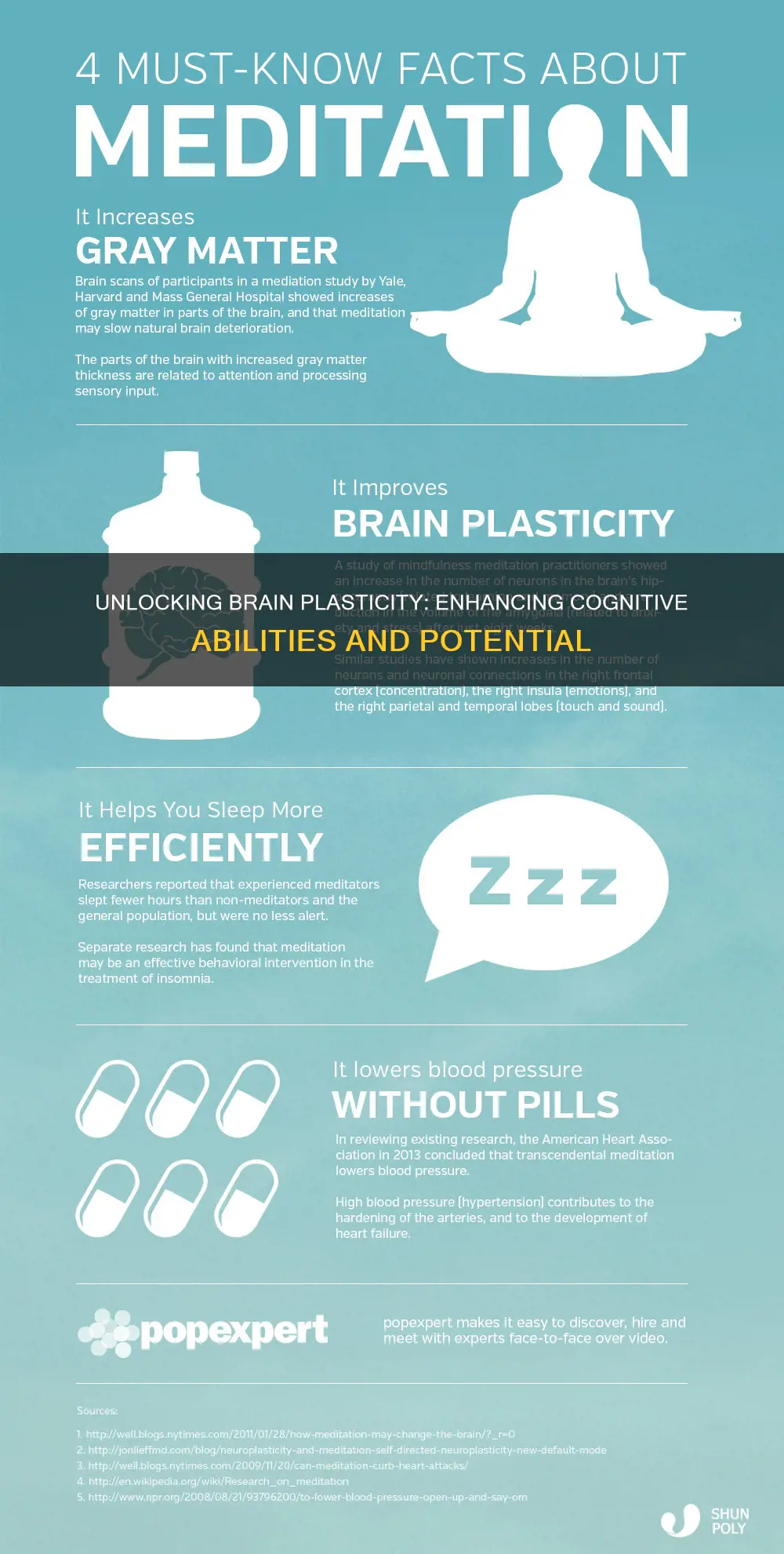 what would increasing brain plasticity do