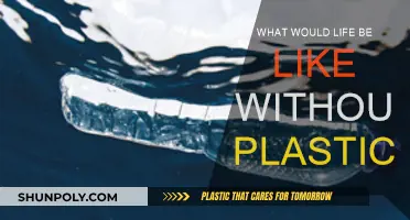 Life Without Plastic: A Healthier, Greener Future
