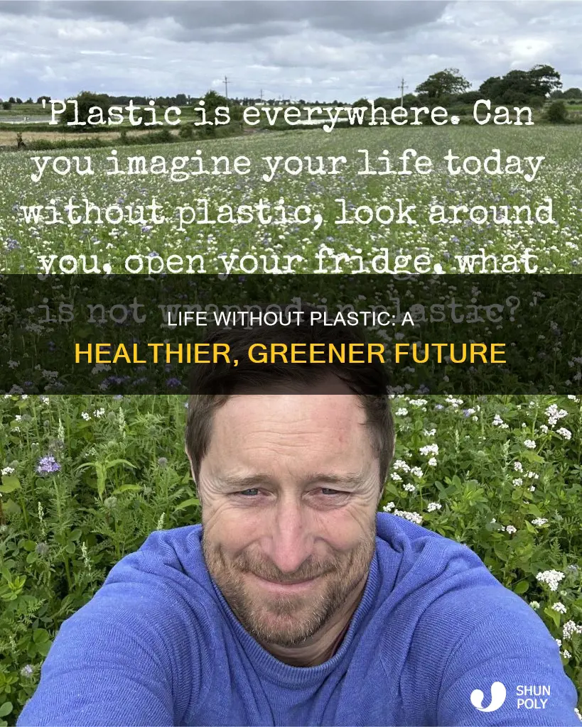 what would life be like without plastic