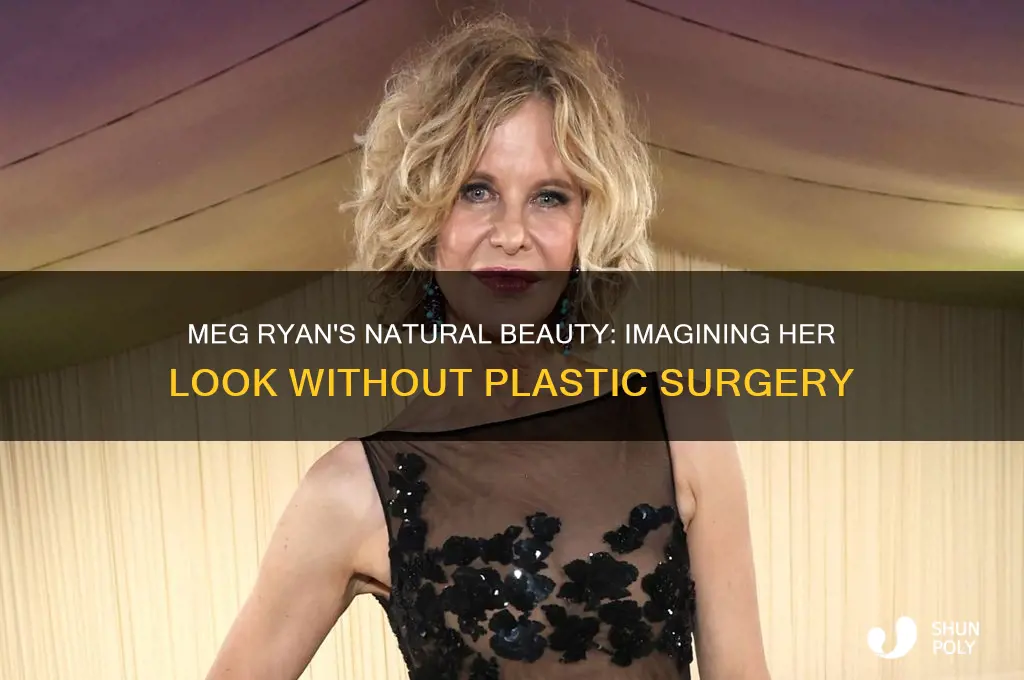 what would meg ryan look like without plastic surgery