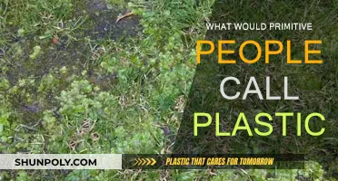 How Primitive People Would Name Plastic