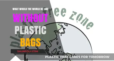 A World Without Plastic Bags: Imagining a Greener, Cleaner Future