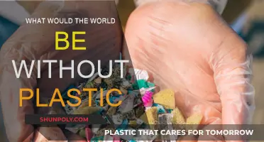 A World Without Plastic: Nature's Revival