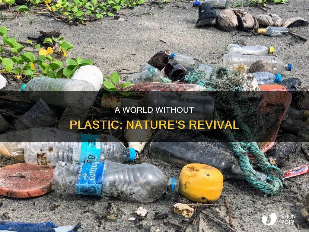 what would the world be without plastic