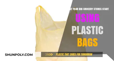The Rise of Plastic Bags in Grocery Stores: A Historical Overview