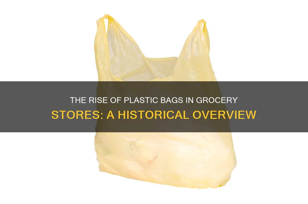 what year did grocery stores start using plastic bags