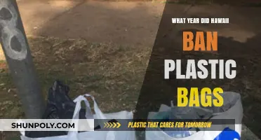 Hawaii's Plastic Bag Ban: A Milestone in Environmental Conservation