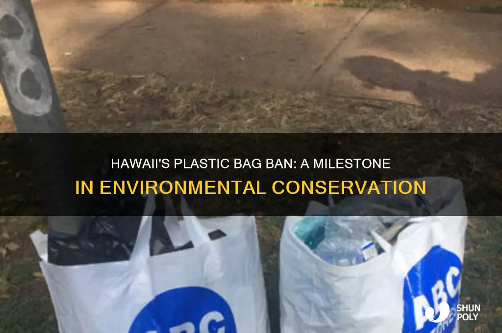 what year did hawaii ban plastic bags