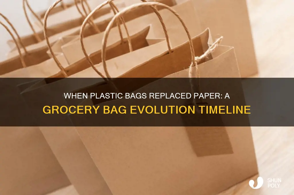 what year did plastic bags replace paer grocwery bags