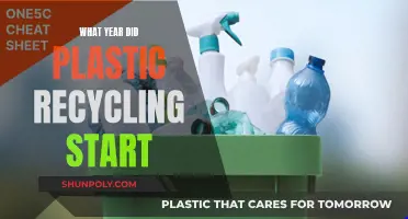 The Evolution of Plastic Recycling: When Did It Begin?