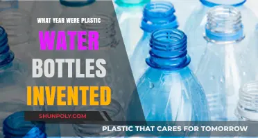 The Surprising Year Plastic Water Bottles Revolutionized Hydration