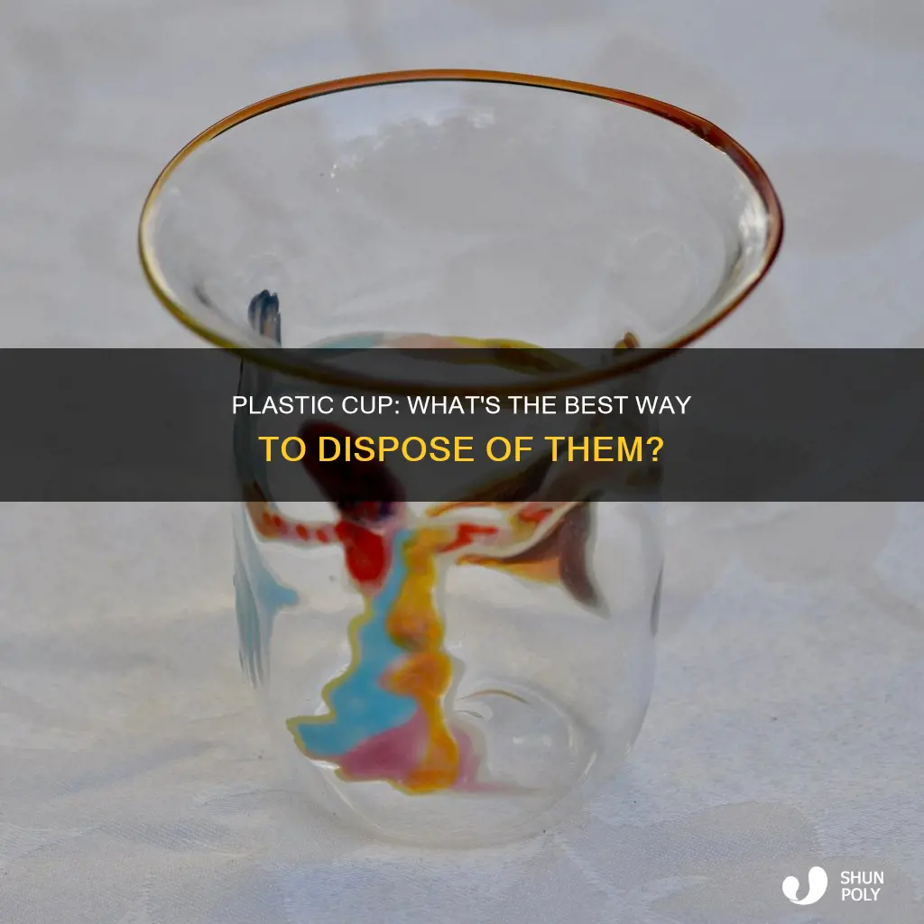 what you gonna do plastic cup