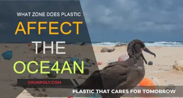 Plastic Zones: Impacting Ocean Life and Environment