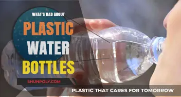 The Hidden Dangers of Plastic Water Bottles: Environmental and Health Risks