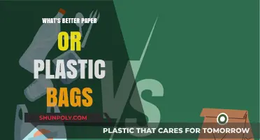 Paper vs. Plastic Bags: Which is the Eco-Friendly Choice?