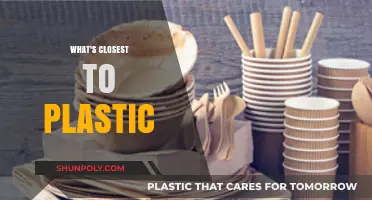 Exploring the Alternatives: What's Closest to Plastic?