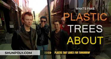 Exploring Fake Plastic Trees: Radiohead's Anthem