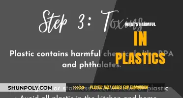 Unveiling the Hidden Dangers: What's Harmful in Plastics?