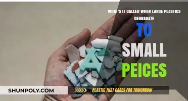 From Big to Small: Understanding Plastic Degradation into Microplastics