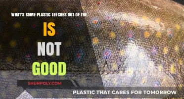 Eco-Friendly Alternatives: Why Plastic Leeches Are Harmful