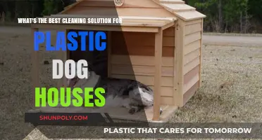 Top Cleaning Solutions for Plastic Dog Houses: A Comprehensive Guide