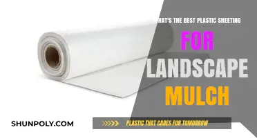 Ultimate Guide to Choosing the Best Plastic Sheeting for Landscape Mulch