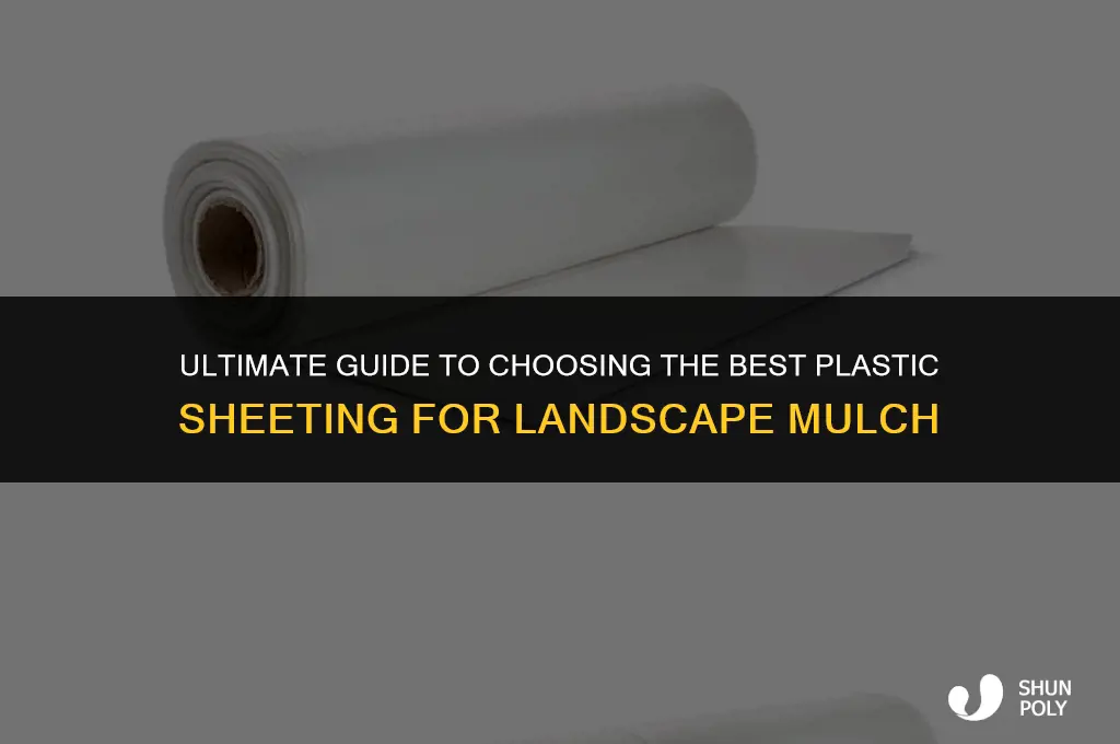 what