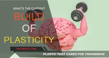 The Plasticity Paradigm: Current Build Explained