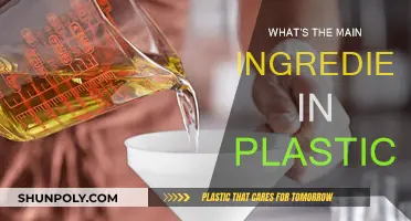 The Ubiquitous Plastic: Understanding Its Core Ingredient