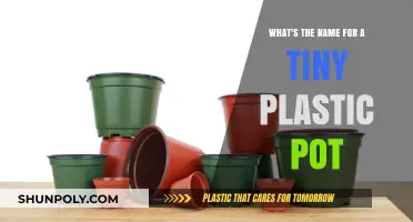 Exploring Miniature Gardening: The Charm of Tiny Plastic Pots