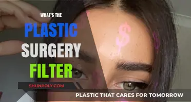 Unveiling the Plastic Surgery Filter: Reality vs. Social Media Illusion