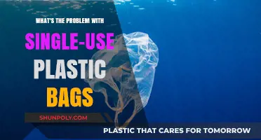 The Environmental Crisis Caused by Single-Use Plastic Bags