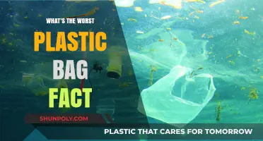 Shocking Truth: The Devastating Impact of Plastic Bags on Our Planet