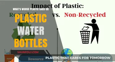 Plastic Bags vs. Bottles: Which Environmental Hazard is Worse?