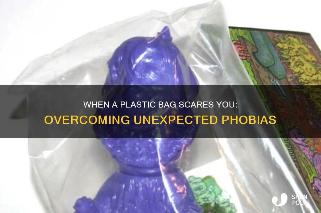 when a plastic bag scares you